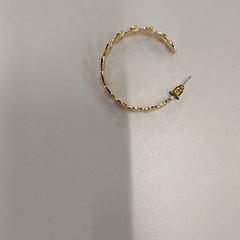 Goudkleurige oorbel goudkleurige, segons ha informat Heidelberglaan 15 mitjançant iLost