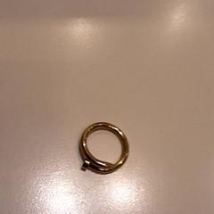 Jewelry Goud, as reported by LUMC using iLost