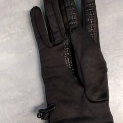 Handschuh Zwart, gemeldet von Arriva Friesland / Groningen über iLost