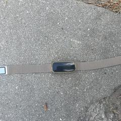 Gold FitBit, segons s'ha informat a iLost