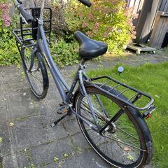 Fiets, som rapportert til iLost