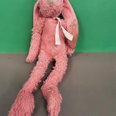 Knuffelkonijn, rapporterat av Diergaarde Blijdorp med iLost