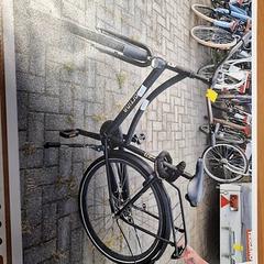 Női kerékpár, amint azt Gemeente Roermond az iLost segítségével jelentette.