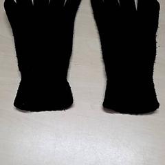 Luvas, segundo informou Arriva Oost-Brabant usando iLost