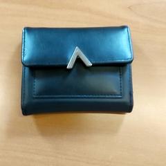 Peněženka - Al-Obaidi, jak nahlášeno Centraal magazijn pomocí iLost