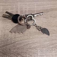 Brelok do kluczy, zgłoszono przez EBS Spijkenisse przy użyciu iLost