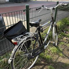 Fiets, iLost'a bildirildiği gibi