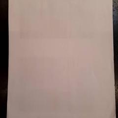 Dokumenty, jak nahlášeno Rotterdam The Hague Airport pomocí iLost