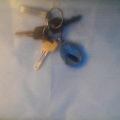 sleutelbos, ako bolo nahlásené iLost