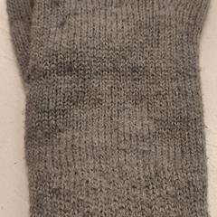 Handschoen, rapporterat av Het Amsterdamse Winterparadijs med iLost