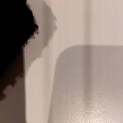 Kurtka, zgłoszono przez De Efteling przy użyciu iLost