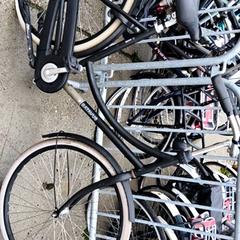 여성용 자전거 batavus, iLost를 사용하여 Stadswerk072에 보고됨