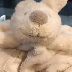 Spielzeug, gemeldet von Arriva Limburg Noord über iLost