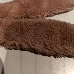 Peluix, segons ha informat De Efteling mitjançant iLost