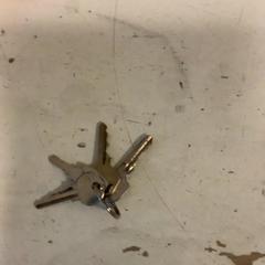 Keys, as reported by Artis using iLost