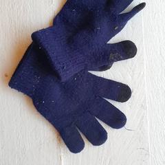 Guants Blauw, segons ha informat DierenPark Amersfoort mitjançant iLost