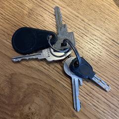 Sleutelbos, ako bolo nahlásené iLost