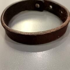 Polsera bruin, segons ha informat Qbuzz GD Groningen HS mitjançant iLost