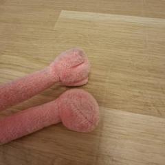 Kuscheltier Rose, gemeldet von De Tovertuin über iLost