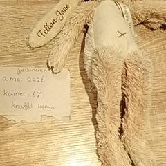 Knuffel, zoals gemeld door Van der Valk Hotel Apeldoorn - De Cantharel met iLost