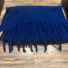 Xal Blauw, segons ha informat Van der Valk Spier-Dwingeloo mitjançant iLost