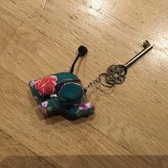 Sleutel met sleutelhanger, jak bylo nahlášeno na iLost