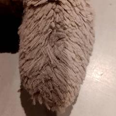 Kosete leke, som rapportert av De Efteling ved bruk av iLost