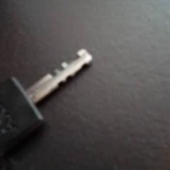 Clave, segundo informou Apenheul usando iLost