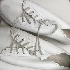 Schoenen, as reported by Rijksmuseum using iLost
