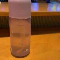 Bottle Roze kinderfles, as reported by Pathé Ede using iLost