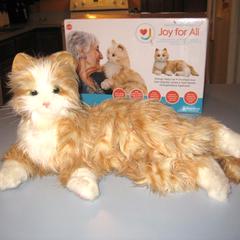 Joy for All Cat., jak zgłoszono do iLost