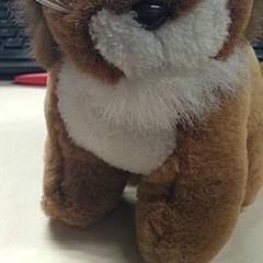 Spielzeug, gemeldet von IKEA Gent über iLost