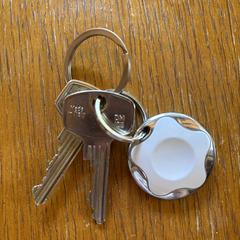 Sleutels a été signalé sur iLost