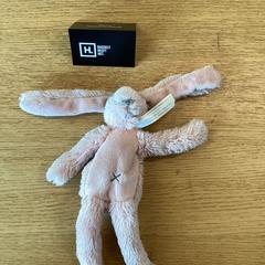 Konijnen knuffel, amint azt Stad Hasselt az iLost segítségével jelentette.