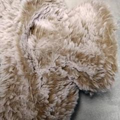 Kruik, amint azt Arriva Friesland / Groningen az iLost segítségével jelentette.