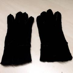 Hansker, som rapportert av Arriva Oost-Brabant ved bruk av iLost