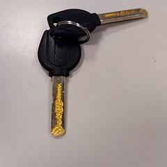 Claus, segons ha informat Vrije Universiteit Amsterdam mitjançant iLost