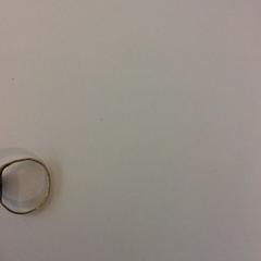 Bague, a été signalé par Gemeente Barneveld utilisant iLost