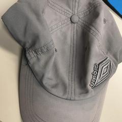 Keps grijs, rapporterat av Burgers' Zoo med iLost