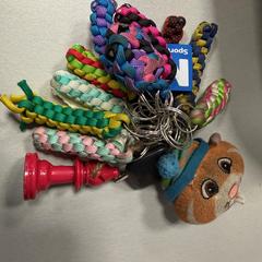 Sleutelbos, som rapporterats till iLost