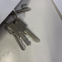 Sleutel, as reported to iLost