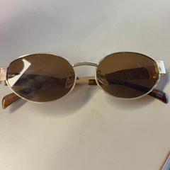 Sluneční brýle, jak nahlášeno Burgers' Zoo pomocí iLost