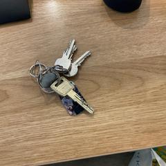 Key Sleutel met foto hanger, as reported by Gemeente Alkmaar using iLost