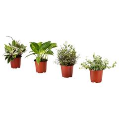 IKEA product, as reported by IKEA 고양점 using iLost