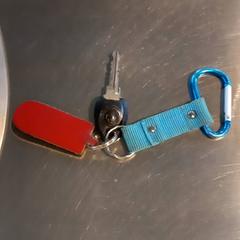 Clau, segons ha informat Arriva Limburg Noord mitjançant iLost