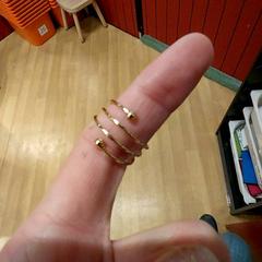 Ring, gemeldet von IKEA Bayonne Ametzondo über iLost
