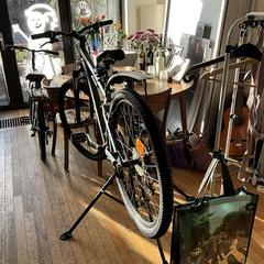 Herenfiets, as reported to iLost