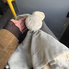 Knuffel, as reported to iLost