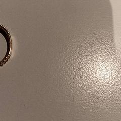 Prsten, jak nahlášeno De Efteling pomocí iLost