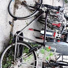Pánsky bicykel batavus, ako bolo nahlásené Stadswerk072 pomocou iLost